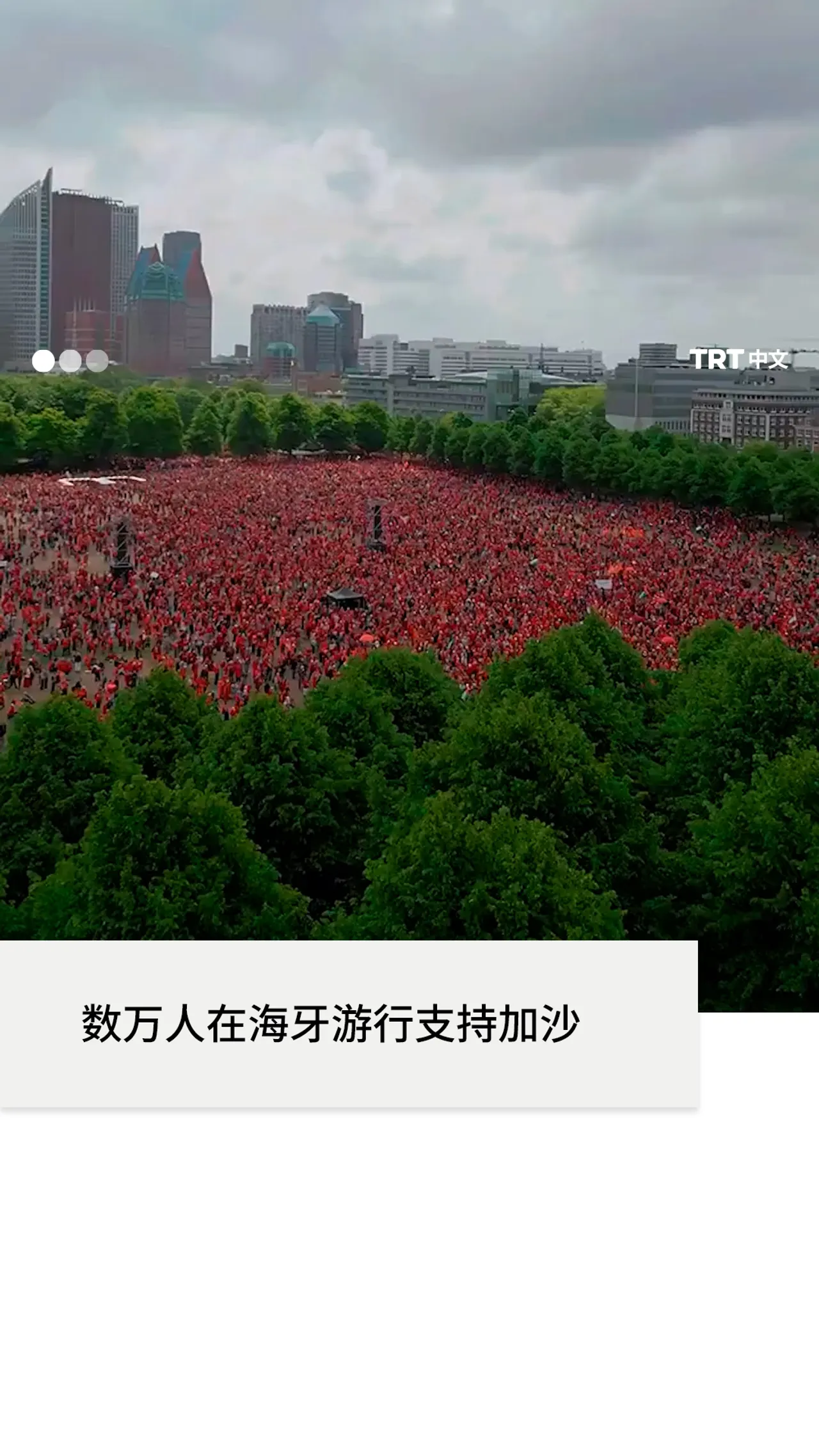 数千人在海牙游行以反对荷兰政府的以色列政策